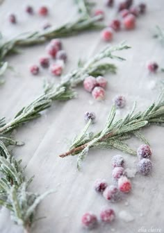 small sprigs of rosemary are covered in ice and cranberry powder on a sheet of paper