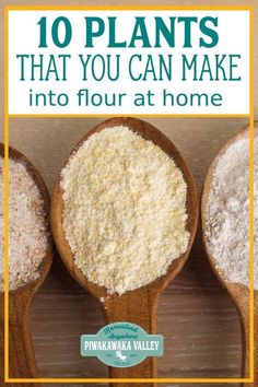 three wooden spoons filled with different types of flour on top of each other and the words, 10 plants that you can make into four at home