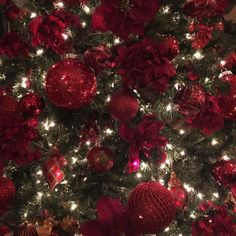 a christmas tree with red ornaments and lights