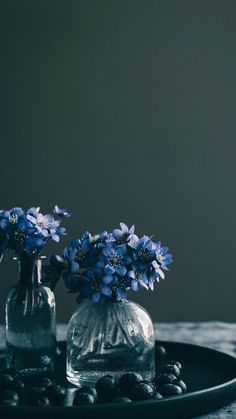 two glass vases with blue flowers in them on a black tray next to rocks