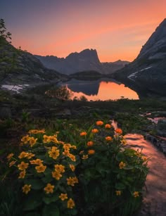 the sun is setting over a mountain lake with wildflowers growing in front of it