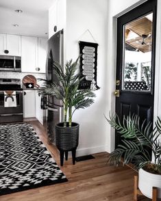 a black and white kitchen with potted plants on the floor in front of the door