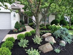 landscaping in front of a house with rocks and trees