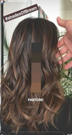 Hairstyle And Color, Melted Caramel, Dyeing Hair, Caramel Balayage, Caramel Hair, Brunette Color, Fishtail Braid, Brown Hair Balayage, New Hairstyle