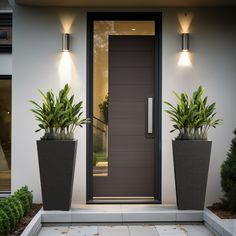 two large planters with plants are in front of the entrance to a modern home