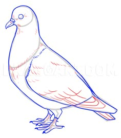 a drawing of a pigeon sitting on top of a white surface with blue lines in the background