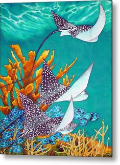 two stingfishs swimming in the ocean metal print