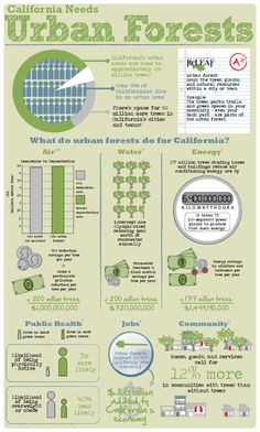 an info sheet with information about urban forests