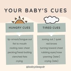 the baby's guide to feeding your baby is shown in this info sheet, which includes