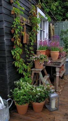 several potted plants on a wooden deck next to a building with a number sign