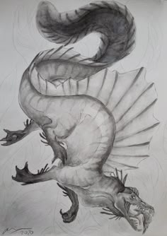 a black and white drawing of a dragon