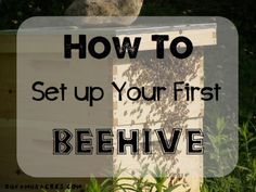 a beehive with the words how to set up your first beehive