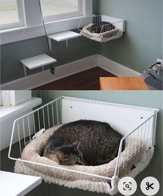 two pictures of a cat sleeping on top of a bed in front of a window