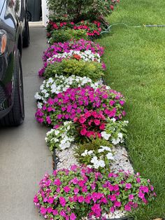 a row of flower pots sitting next to a black car