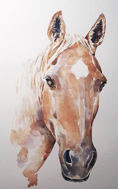 a watercolor painting of a horse's head