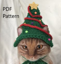 a cat wearing a knitted christmas hat