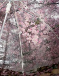 an open umbrella with pink flowers on it