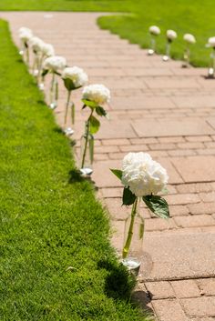 white flowers are lined up along a brick path in the grass, with water bottles on each side