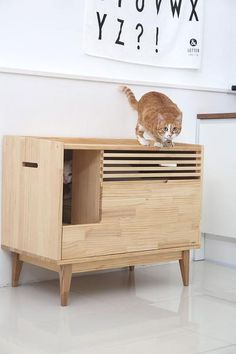 an orange and white cat standing on top of a wooden cabinet in a living room