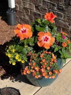 a potted plant with orange and pink flowers on the side of a brick building