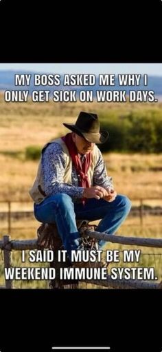 a man sitting on top of a wooden fence next to a cow wearing a cowboy hat