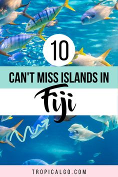 colorful fish swimming in the ocean with text overlay that reads 10 can't miss islands