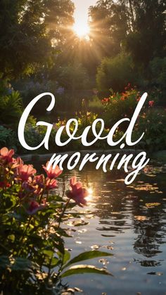 the words good morning are in front of a pond with pink flowers and greenery