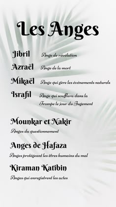 the menu for les anges is shown in black and white, with palm leaves