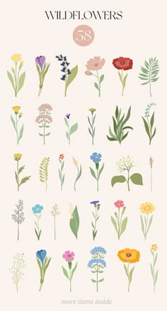 an illustrated poster with flowers and leaves on it