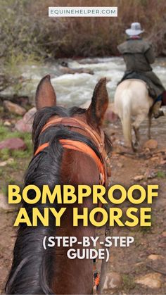 Looking to transform your horse into a bombproof trail partner? Start building your horse’s trust and confidence with these simple training techniques. Transforming your horse into a bombproof trail partner is about preparation and patience, and these steps will guide you. From handling surprises on the trail to building calmness, you can transform your horse into a reliable companion. Make every trail ride better by transforming your horse into a bombproof partner! Trail Horse Riding, Camping With Horses Trail Riding, Camping With Horses, Natural Horsemanship Training, Trail Riding Horses, Trail Horse, Horse Behavior, Trail Ride, Horse Camp