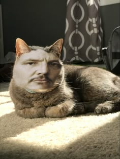 a cat laying on the floor with an image of a man's face