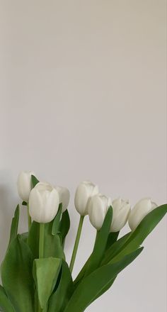 white tulips are arranged in a vase on a table next to a wall