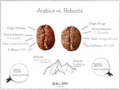 the differences between arabica and robusta coffee beans are shown in this graphic