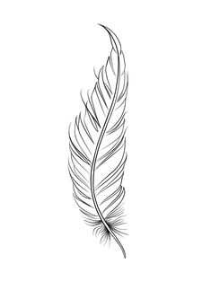 a black and white drawing of a feather