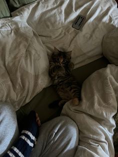 a cat laying on top of a bed covered in blankets