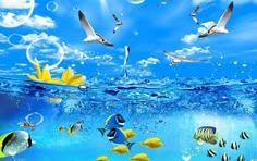 an underwater scene with many different types of fish and seagulls in the water