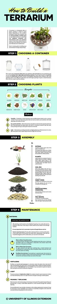 an info sheet describing the different types of seaweeds and other marine animals in their natural habitat