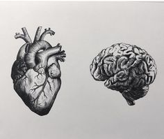 two drawings of human heart and brain in black and white, one is drawn on paper