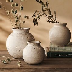 three white vases sitting on top of a wooden table next to books and plants