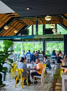 people sitting at tables in a restaurant with yellow chairs and green plants on the walls