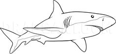 a cartoon shark with its mouth open