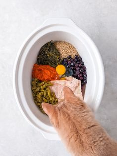 an orange cat reaching into a white bowl filled with different types of vegetables and meats