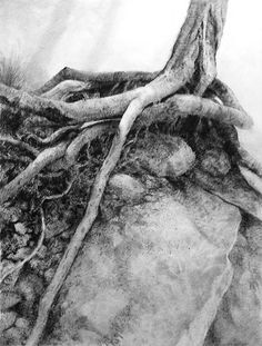 a black and white drawing of a tree on top of a rock with roots growing out of it