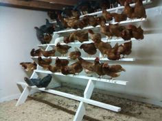 there are many chickens on the shelves in this room and one chicken is standing up