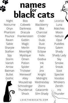 the names for black cats are shown in this printable version, which includes an image of