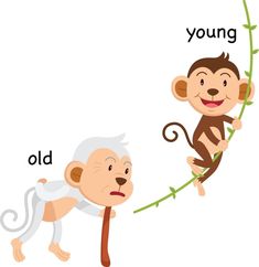 a monkey and an old man on a branch with the word young written below it