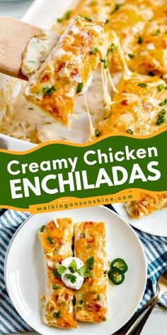 Have an amazing Cinco de Mayo dinner party with these easy chicken enchiladas! It's a quick and easy creamy chicken enchilada recipe that's delicious and so easy to make. Plus, it comes with freezing tips! Non Spicy Chicken Enchiladas, Creamy Cheesy Chicken Enchiladas, Enchiladas Chicken White Sauce, Easy White Chicken Enchilada Recipe, Chicken Enchiladas Easy White Sauce, Chicken And Enchilada Sauce Recipes, Chicken Enchilada White Sauce, White Cheesy Chicken Enchiladas, 5 Ingredient Chicken Enchiladas