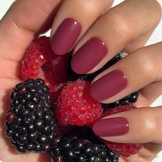 Berry Maroon – glamnetic Wine Dip Nails, Matte Berry Nails, Rust Fall Nails, Round Medium Nails, Cute Gel Nails For Short Nails, Berry Colour Nails, Berry Nails Fall, Natural Autumn Nails, Muted Red Nails