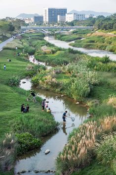 people are standing on the bank of a small stream in a grassy area with tall buildings behind them