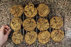 a person holding a rack full of cookies on top of a granite countertop next to a pile of chocolate chip cookies